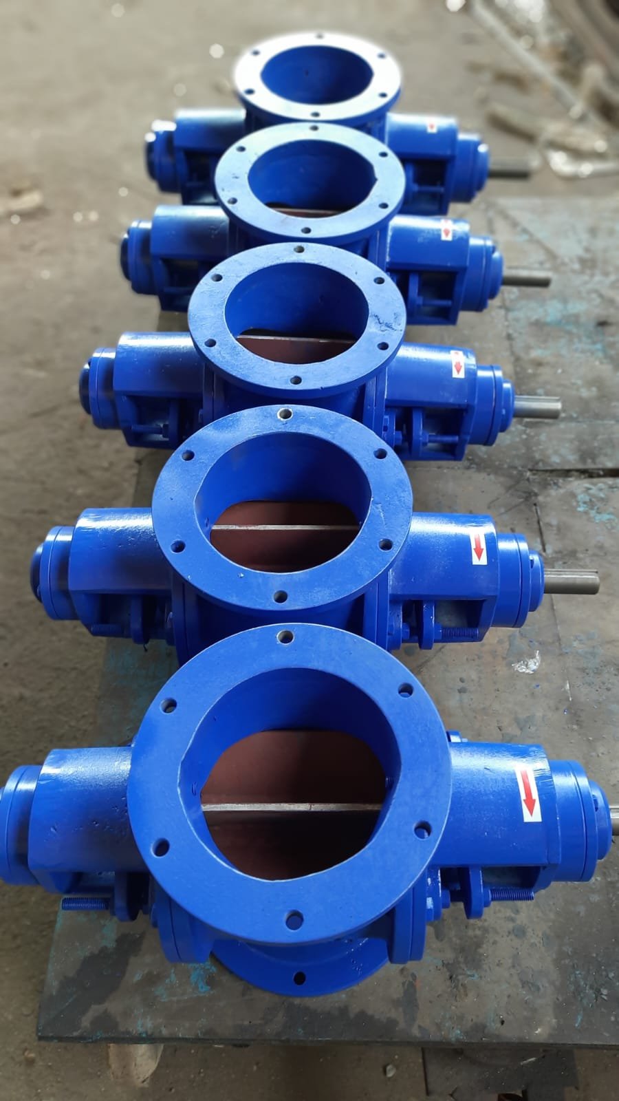 WhatsApp Image 2025-11-05 at 5.27.14 PM (1)