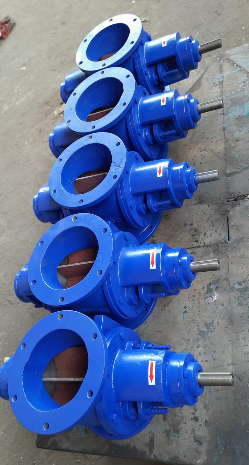 WhatsApp Image 2025-11-05 at 5.27.14 PM (2)