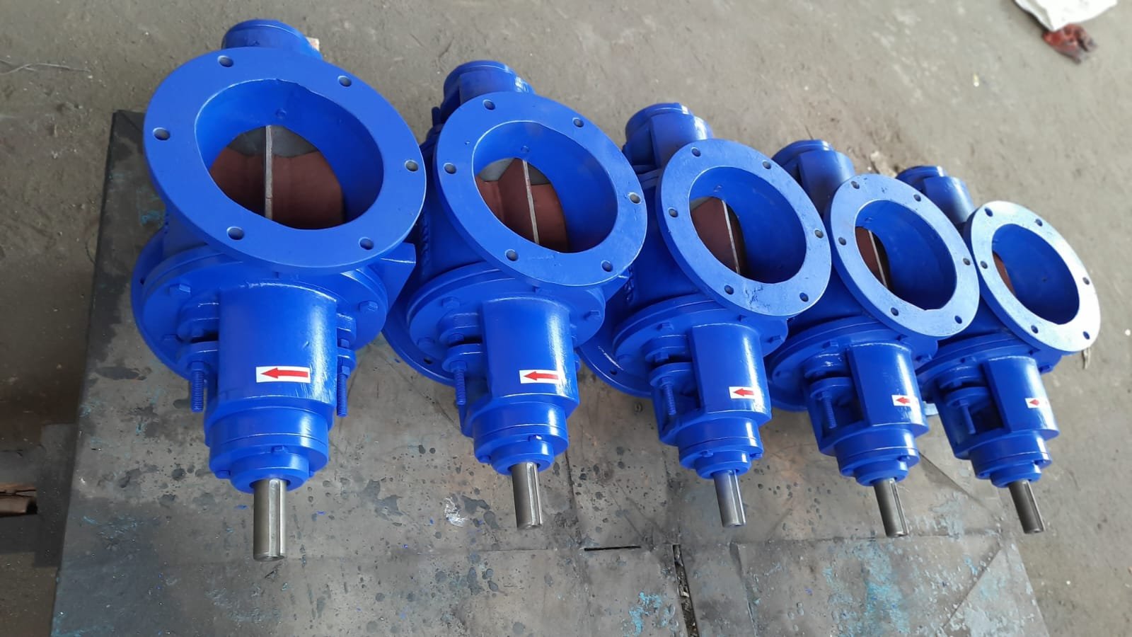 WhatsApp Image 2025-11-05 at 5.27.15 PM